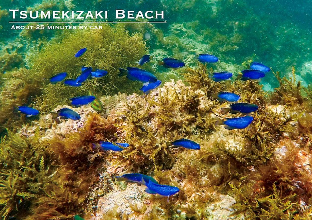 Shobuzawa Log Villa Kawazu Dış mekan fotoğraf