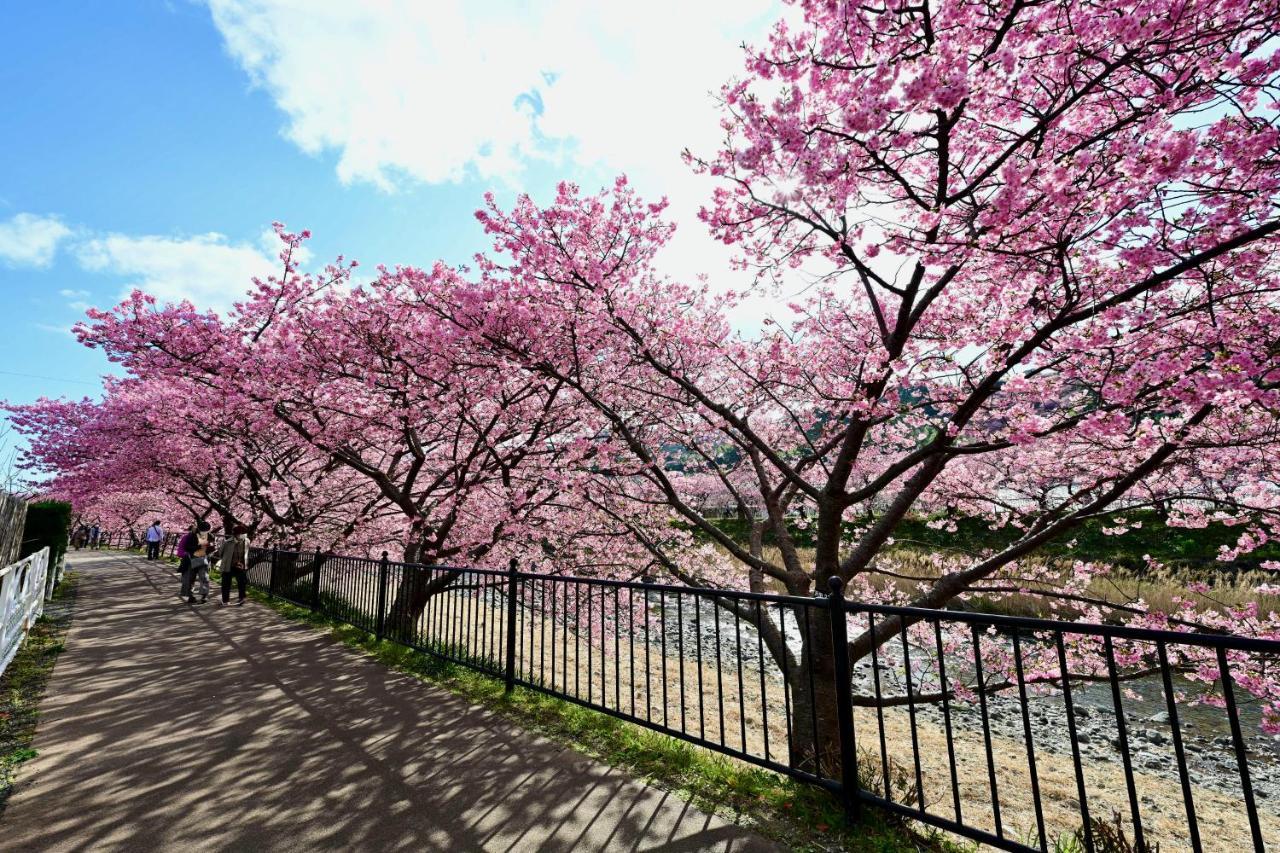 Shobuzawa Log Villa Kawazu Dış mekan fotoğraf