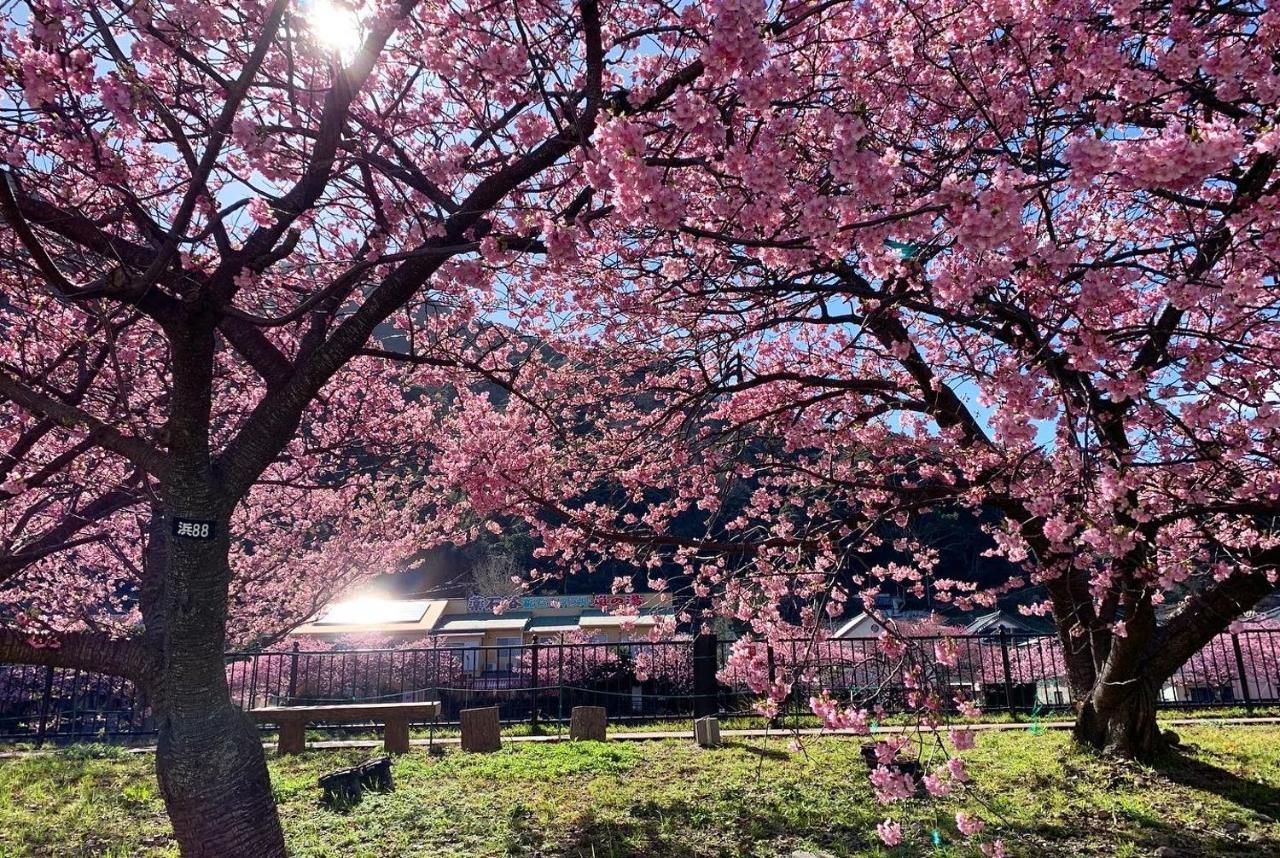 Shobuzawa Log Villa Kawazu Dış mekan fotoğraf