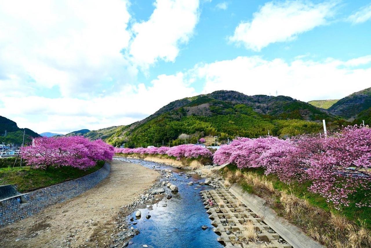 Shobuzawa Log Villa Kawazu Dış mekan fotoğraf