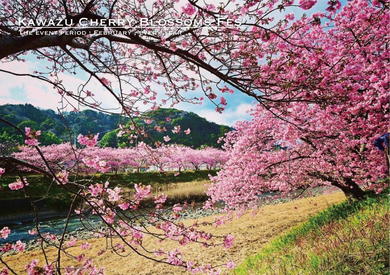 Shobuzawa Log Villa Kawazu Dış mekan fotoğraf